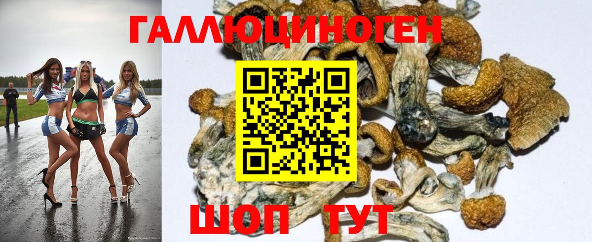 Бугуруслан  Псилоцибиновые грибы Psilocybine cubensis  Галлюциногенные грибы GOLDEN TEACHER  Вход с VPN 